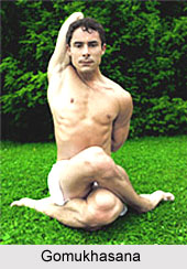 Yoga Regimens for the Athletes