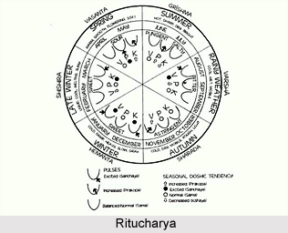 Three Components of the Body, Ayurveda