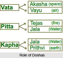 Role of the Doshas
