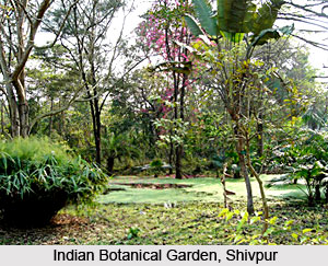 Botanical Gardens of India