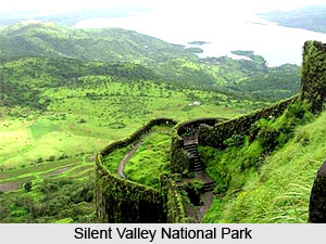 Silent Valley National Park