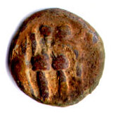 Coins of the Ikshvaku and Vishnukundi rulers