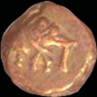 Coins of Mysore Sultans
