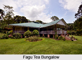 Fagu Tea Bungalow, Gorubathan, West Bengal