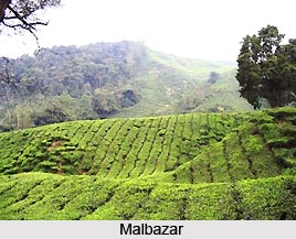 Malbazar, Jalpaiguri District