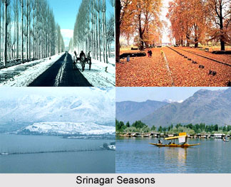 Srinagar,Jammu & Kashmir