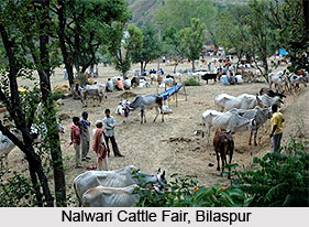 Fairs of Bilaspur District