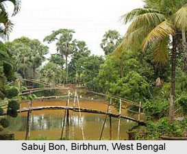 Sabuj Bon, West Bengal
