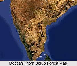 Deccan Thorn Scrub Forests in India