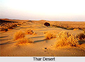 Thar Desert in India