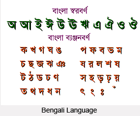 Origin of Indian Languages