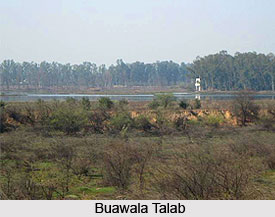 Bua Wala Talab, Jhajjar District, Haryana