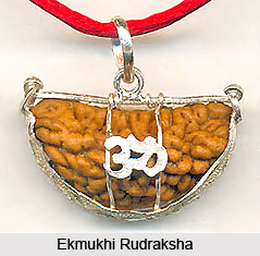 Rudraksha  Mala