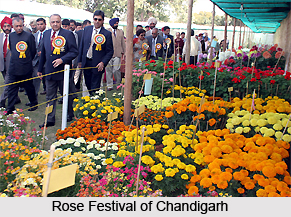 Arts and Culture of Chandigarh