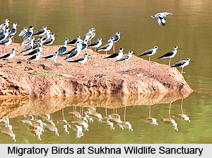 Sukhna Wildlife Sanctuary, Chandigarh