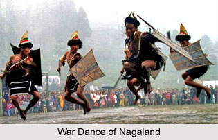Nagaland, Indian State