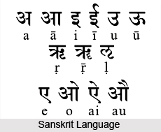 Dravidian Language