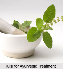 Female Diseases cured by Tulsi