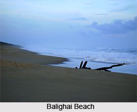 Balighai Beach, Orissa