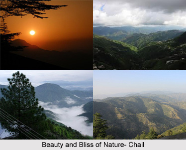 Chail, Himachal Pradesh