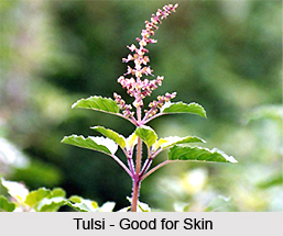 Skin Problems cured by Tulsi