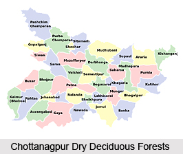 Chottanagpur Dry Deciduous Forests in India