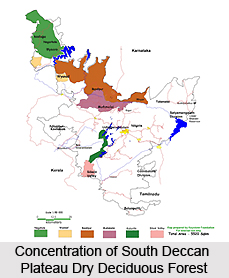 South Deccan Plateau Dry Deciduous Forests in India