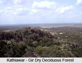 Kathiawar-Gir Dry Deciduous Forests in India