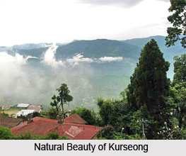 Kurseong, Darjeeling