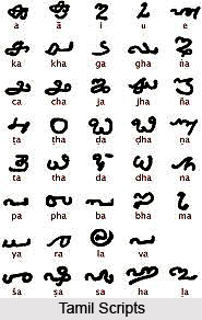 Tamil Scripts
