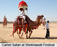 Shekhawati Festival