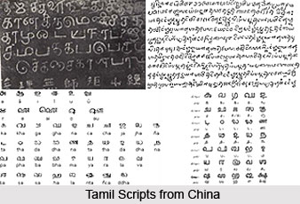 Development of Tamil Scripts, Tamil Language
