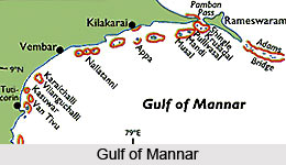 Gulf of Mannar