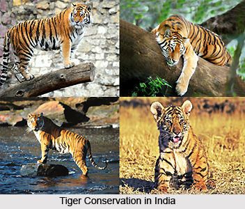 Measures to Conserve Indian Wildlife
