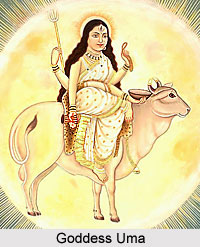 Worship of Goddess Uma, Agni Purana