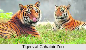Zoos in Punjab