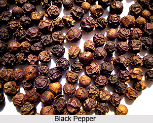 History of Black Pepper