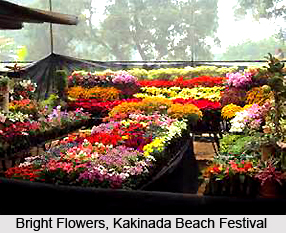 Kakinada Beach Festival, Andhra Pradesh