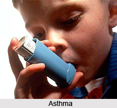 Respiratory Allergy