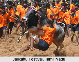 Festivals in Madurai District, Tamil Nadu