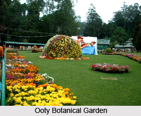 Visiting places in Udhagamandalam (Ooty)