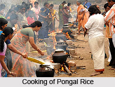 Pongal, Indian Festival
