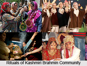 Kashmiri Brahmin Community