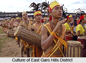 Culture of East Garo Hills District
