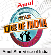 Amul Star Voice of India, Indian Reality Show