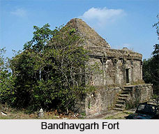 Forts in Madhya Pradesh