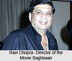 Baghbaan, Indian film