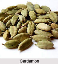 Cardamon Oil