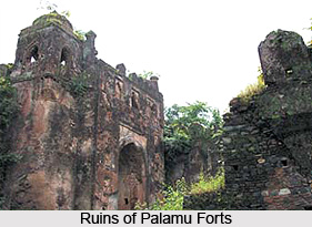 Palamu Forts, Aurangabad District, Bihar
