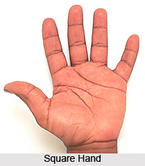 Square Hand, Indian Palmistry